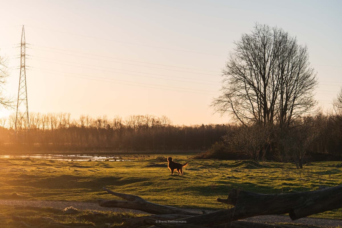 nature_0010.jpeg