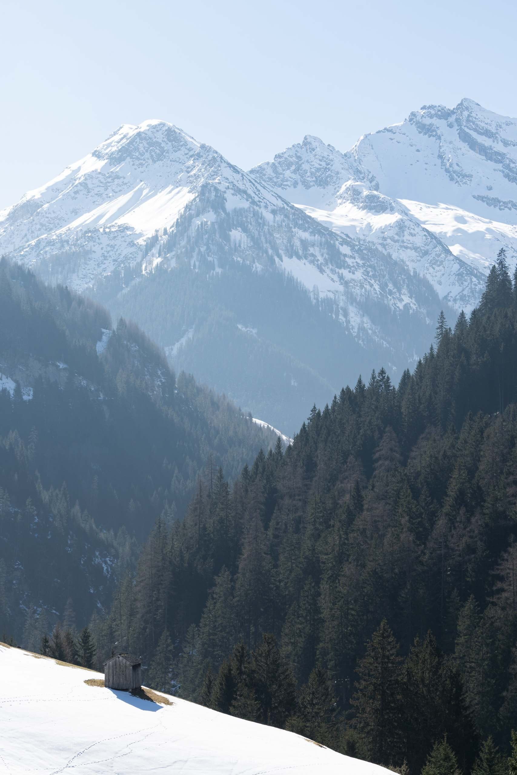 nature_0013.jpeg