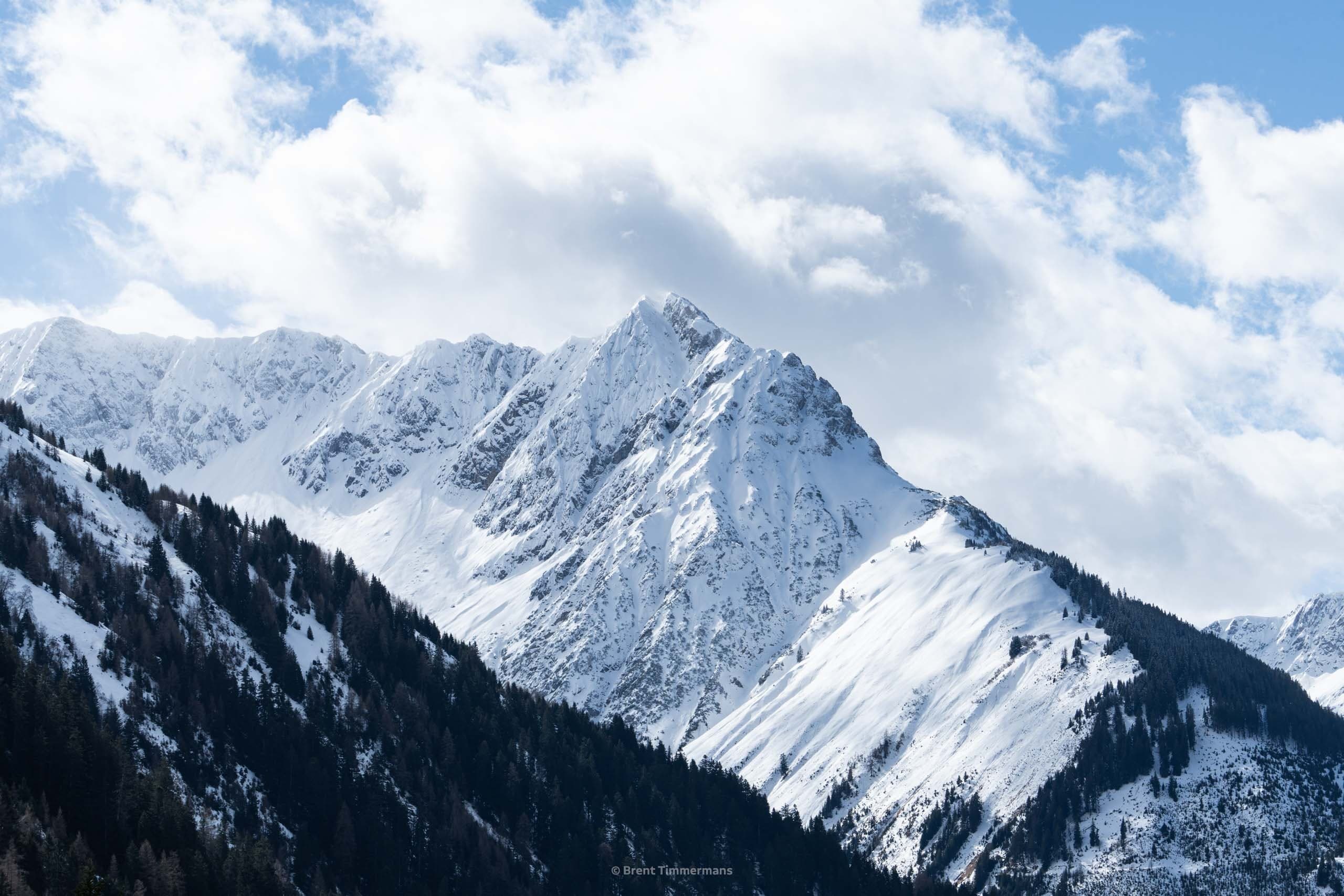 nature_0020.jpeg