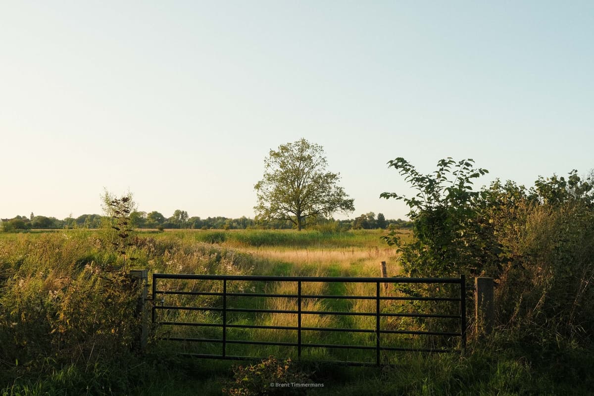 nature_0023.jpeg