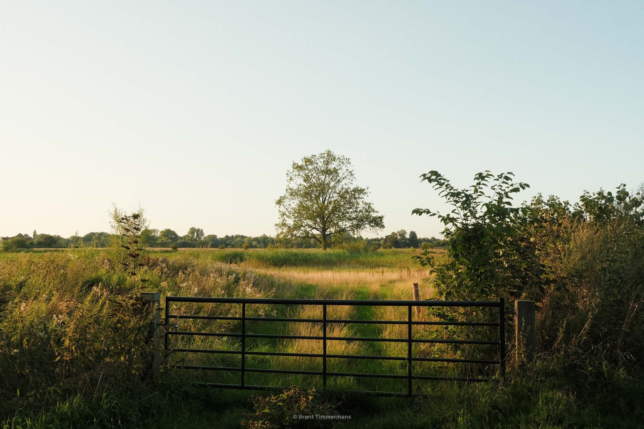 nature_0023.jpeg