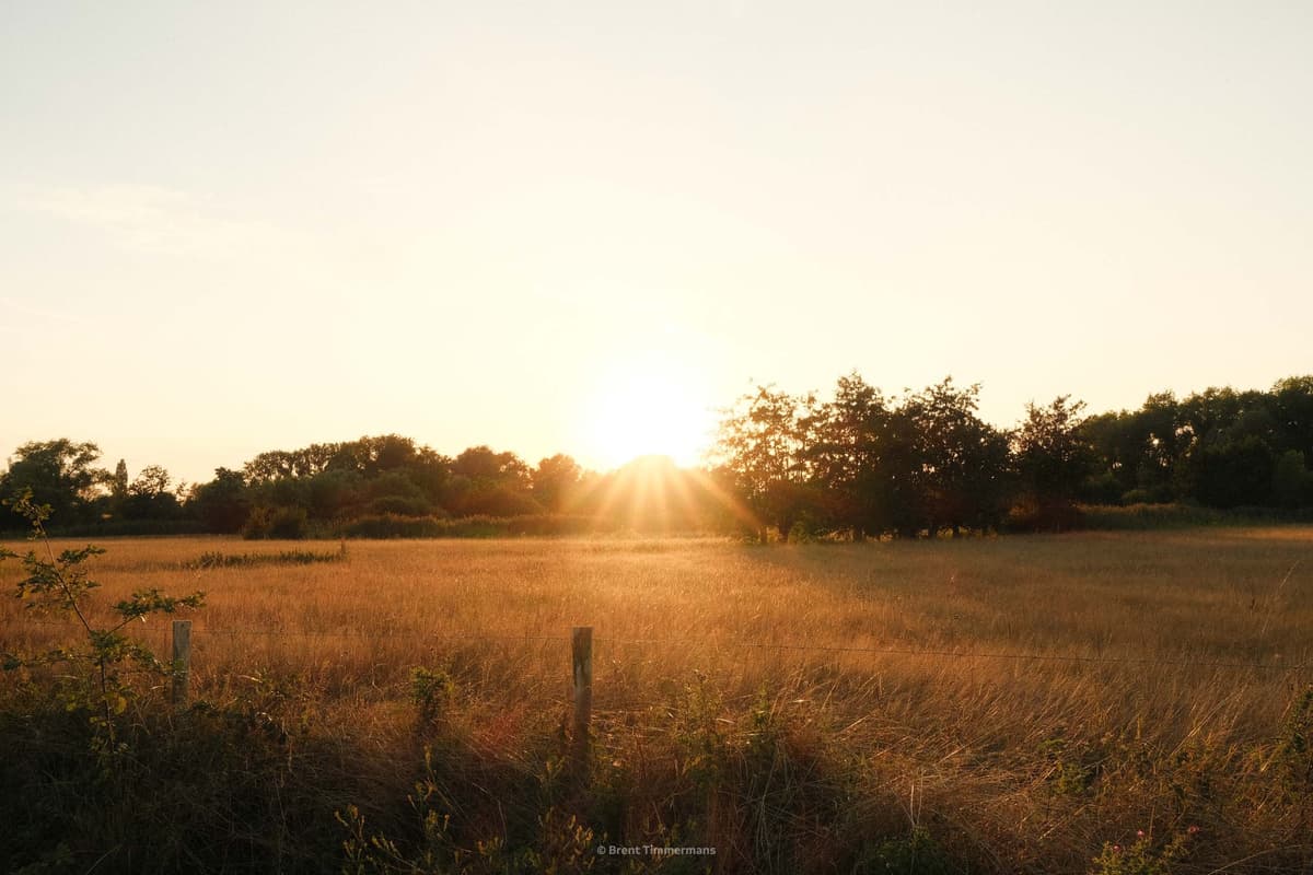 nature_0024.jpeg