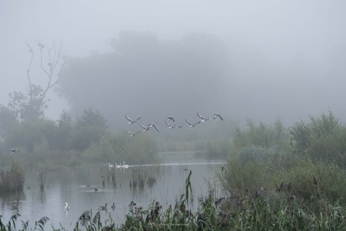 nature_0027.jpeg