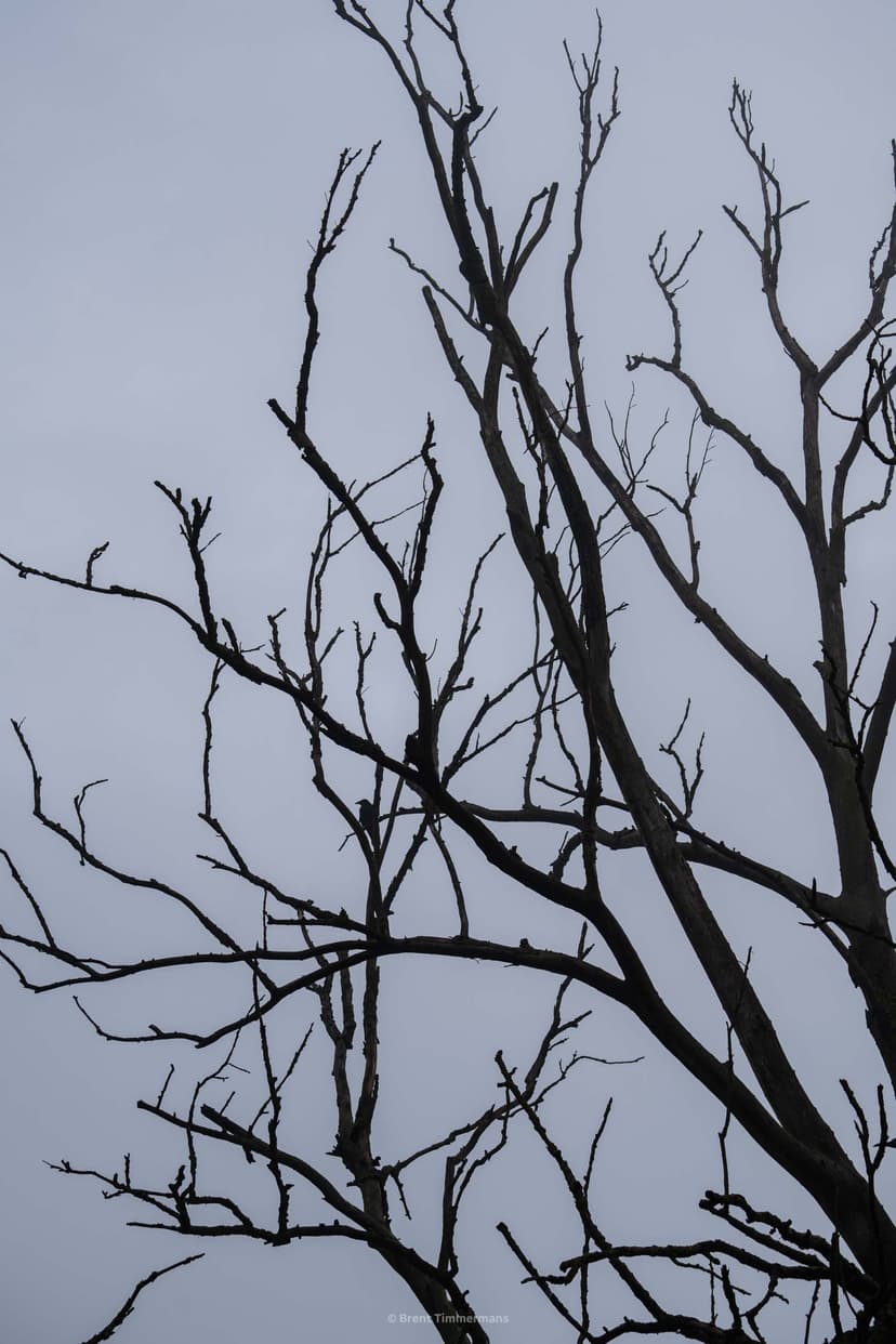 nature_0028.jpeg