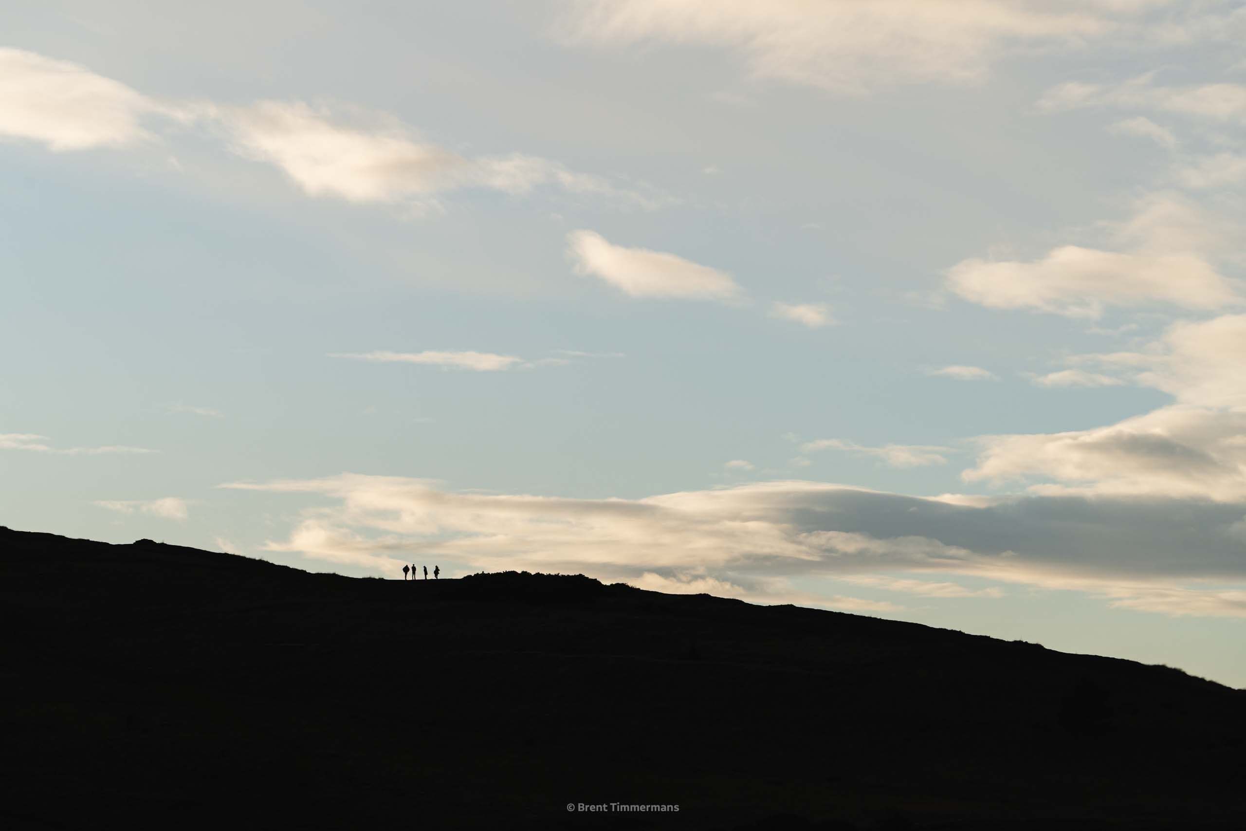 nature_0032.jpeg