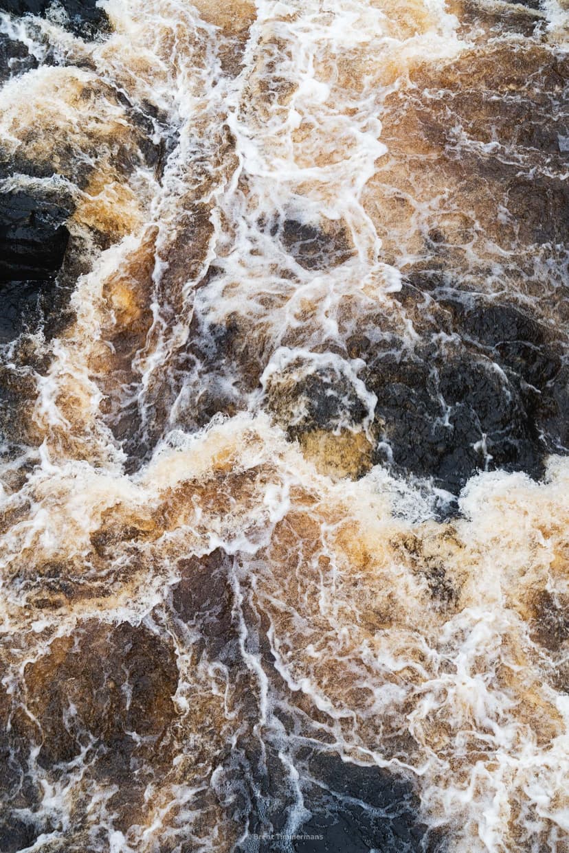 nature_0035.jpeg
