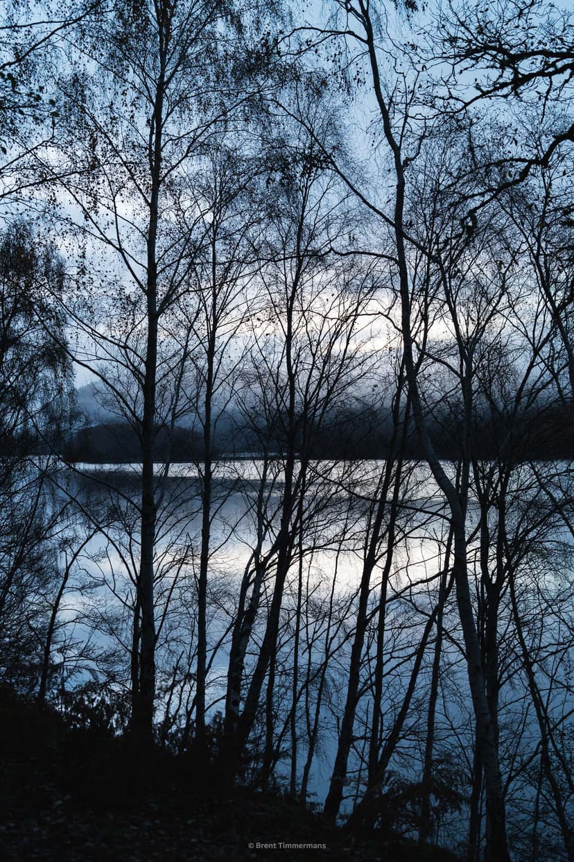 nature_0064.jpeg