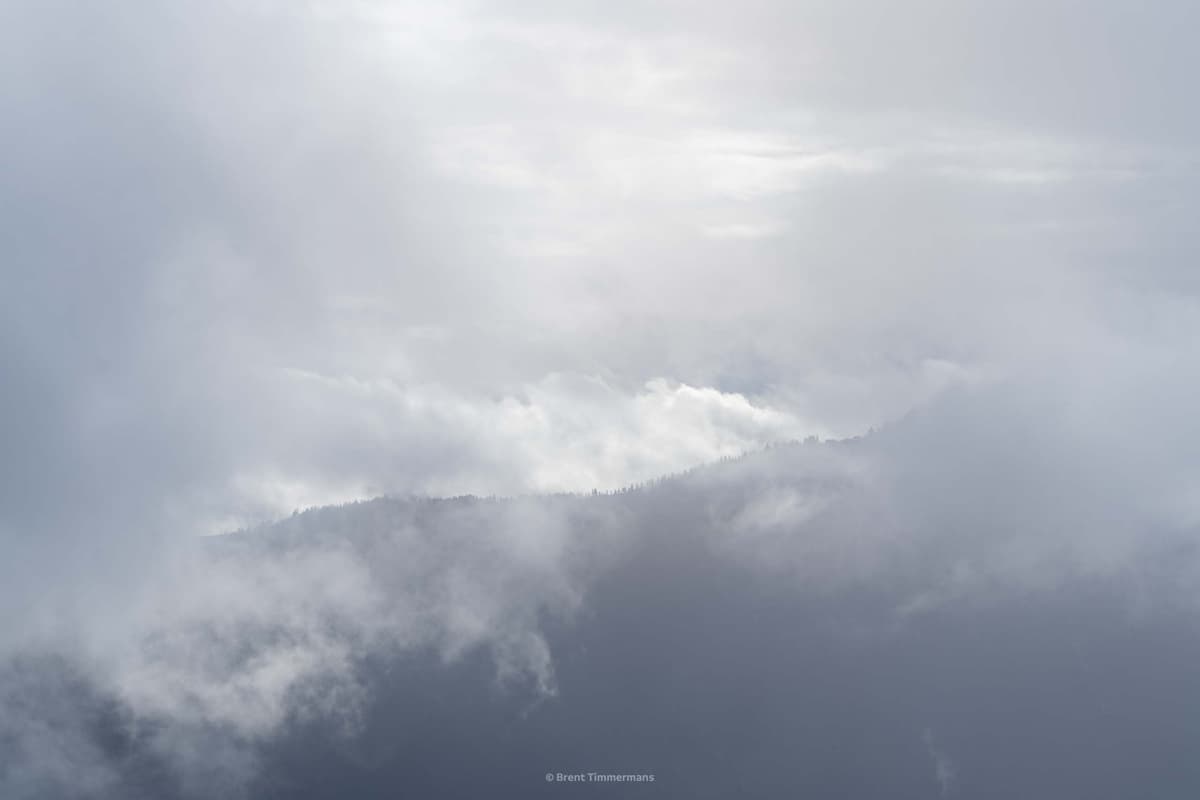 nature_0082.jpeg