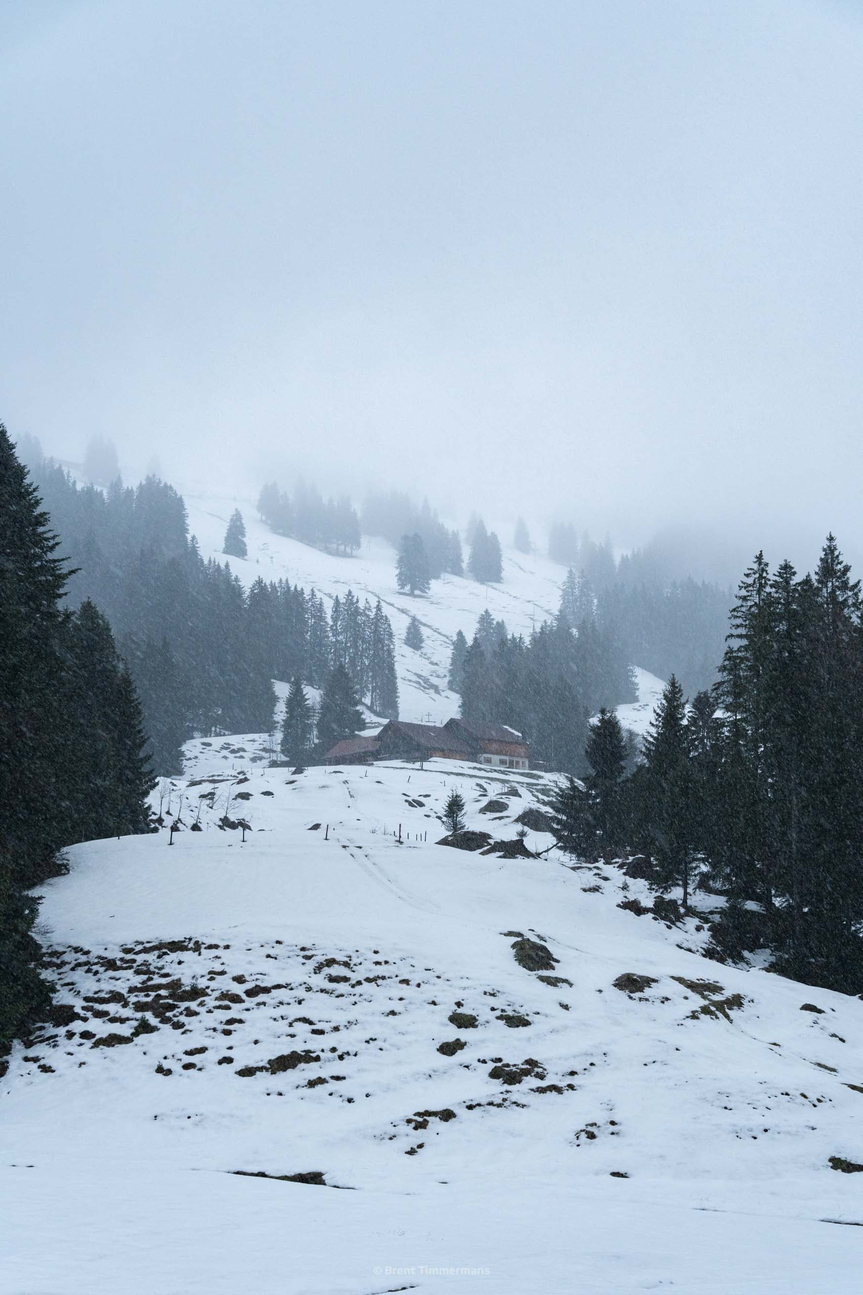 nature_0086.jpeg