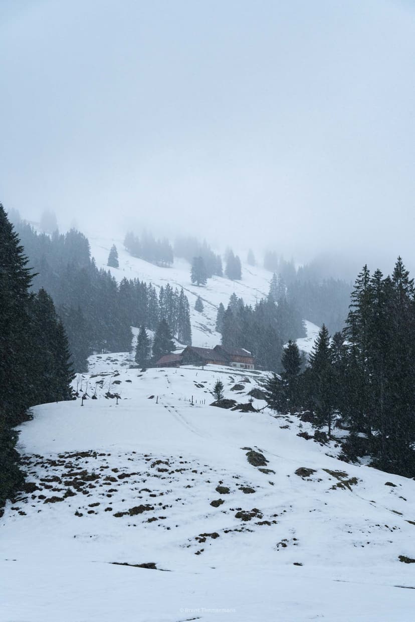 nature_0086.jpeg